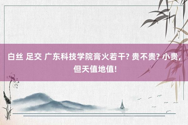 白丝 足交 广东科技学院膏火若干? 贵不贵? 小贵， 但天值地值!