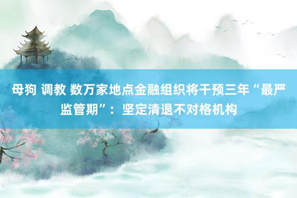 母狗 调教 数万家地点金融组织将干预三年“最严监管期”：坚定清退不对格机构