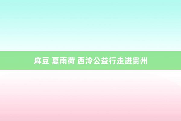麻豆 夏雨荷 西泠公益行走进贵州