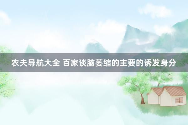 农夫导航大全 百家谈脑萎缩的主要的诱发身分
