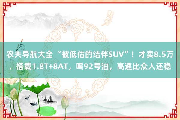农夫导航大全 “被低估的结伴SUV”！才卖8.5万，搭载1.8T+8AT，喝92号油，高速比众人还稳