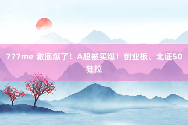 777me 澈底爆了！A股被买爆！创业板、北证50狂拉