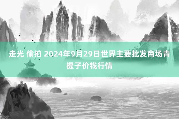 走光 偷拍 2024年9月29日世界主要批发商场青提子价钱行情