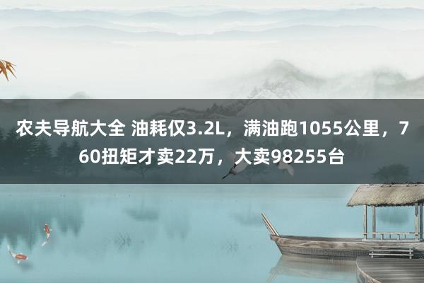 农夫导航大全 油耗仅3.2L，满油跑1055公里，760扭矩才卖22万，大卖98255台
