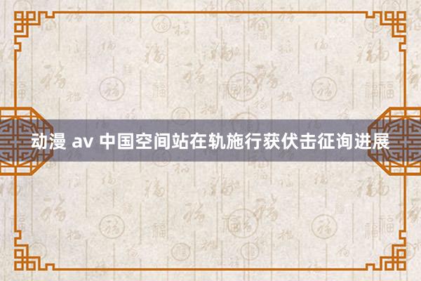 动漫 av 中国空间站在轨施行获伏击征询进展