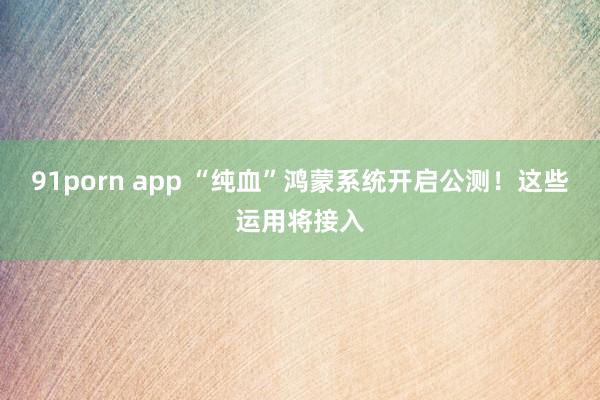 91porn app “纯血”鸿蒙系统开启公测！这些运用将接入