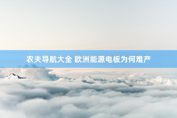 农夫导航大全 欧洲能源电板为何难产