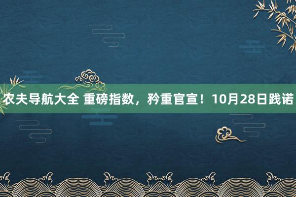 农夫导航大全 重磅指数，矜重官宣！10月28日践诺