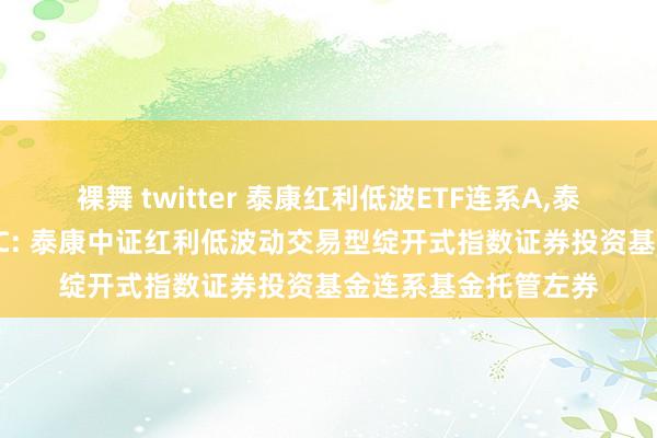 裸舞 twitter 泰康红利低波ETF连系A,泰康红利低波ETF连系C: 泰康中证红利低波动交易型绽开式指数证券投资基金连系基金托管左券