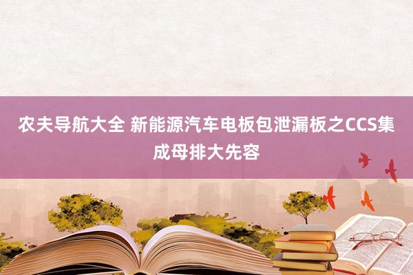 农夫导航大全 新能源汽车电板包泄漏板之CCS集成母排大先容