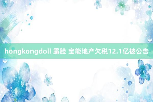 hongkongdoll 露脸 宝能地产欠税12.1亿被公告