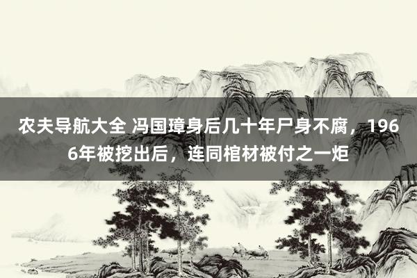 农夫导航大全 冯国璋身后几十年尸身不腐，1966年被挖出后，连同棺材被付之一炬