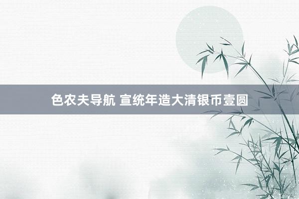 色农夫导航 宣统年造大清银币壹圆