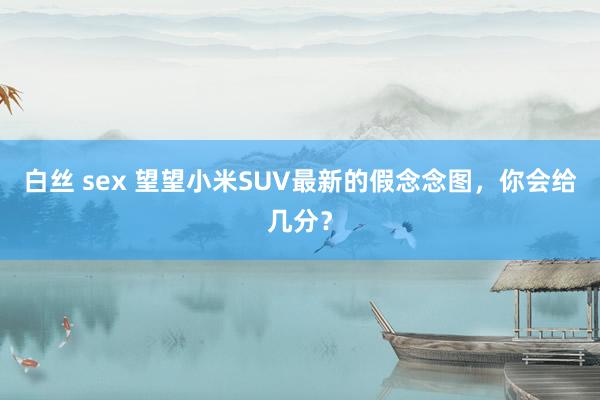 白丝 sex 望望小米SUV最新的假念念图，你会给几分？