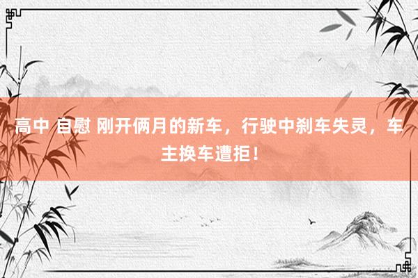 高中 自慰 刚开俩月的新车，行驶中刹车失灵，车主换车遭拒！