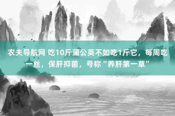 农夫导航网 吃10斤蒲公英不如吃1斤它，每周吃一丝，保肝抑菌，号称“养肝第一草”