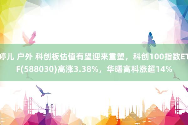婷儿 户外 科创板估值有望迎来重塑，科创100指数ETF(588030)高涨3.38%，华曙高科涨超14%