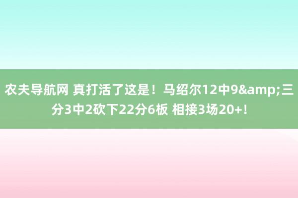 农夫导航网 真打活了这是！马绍尔12中9&三分3中2砍下22分6板 相接3场20+！