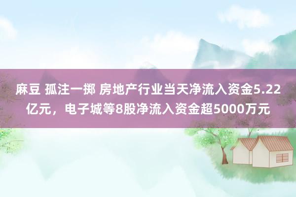 麻豆 孤注一掷 房地产行业当天净流入资金5.22亿元，电子城等8股净流入资金超5000万元