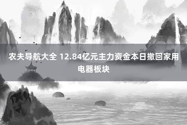 农夫导航大全 12.84亿元主力资金本日撤回家用电器板块