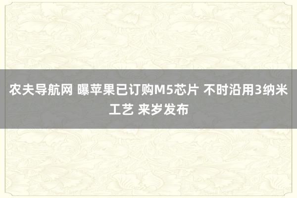 农夫导航网 曝苹果已订购M5芯片 不时沿用3纳米工艺 来岁发布