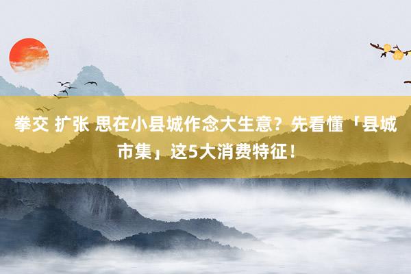 拳交 扩张 思在小县城作念大生意？先看懂「县城市集」这5大消费特征！