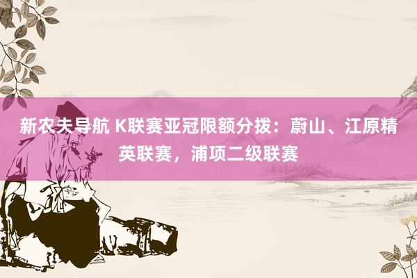 新农夫导航 K联赛亚冠限额分拨：蔚山、江原精英联赛，浦项二级联赛