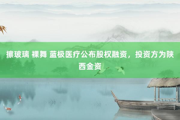 擦玻璃 裸舞 蓝极医疗公布股权融资，投资方为陕西金资
