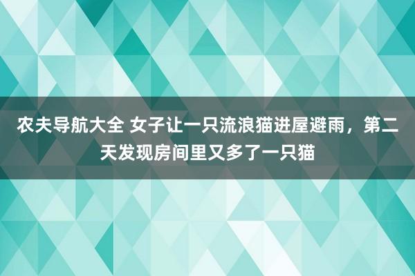 农夫导航大全 女子让一只流浪猫进屋避雨，第二天发现房间里又多了一只猫