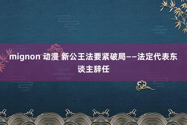 mignon 动漫 新公王法要紧破局——法定代表东谈主辞任