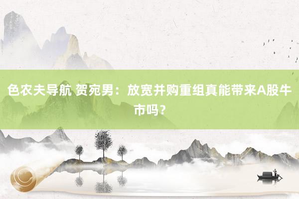 色农夫导航 贺宛男：放宽并购重组真能带来A股牛市吗？