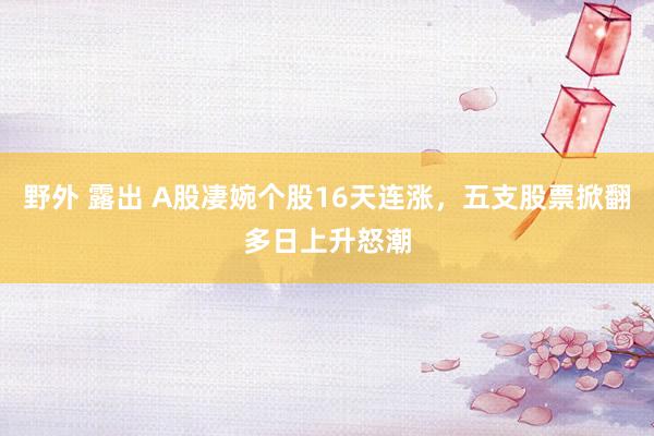 野外 露出 A股凄婉个股16天连涨，五支股票掀翻多日上升怒潮