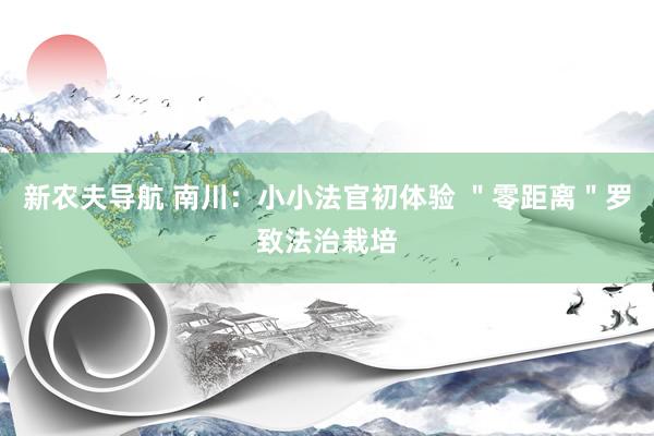 新农夫导航 南川：小小法官初体验 ＂零距离＂罗致法治栽培