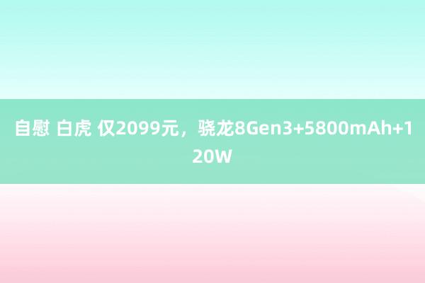 自慰 白虎 仅2099元，骁龙8Gen3+5800mAh+120W