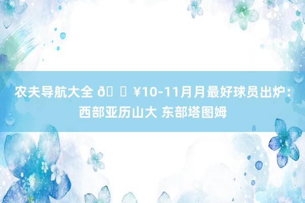 农夫导航大全 🔥10-11月月最好球员出炉：西部亚历山大 东部塔图姆