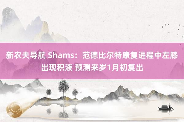 新农夫导航 Shams：范德比尔特康复进程中左膝出现积液 预测来岁1月初复出