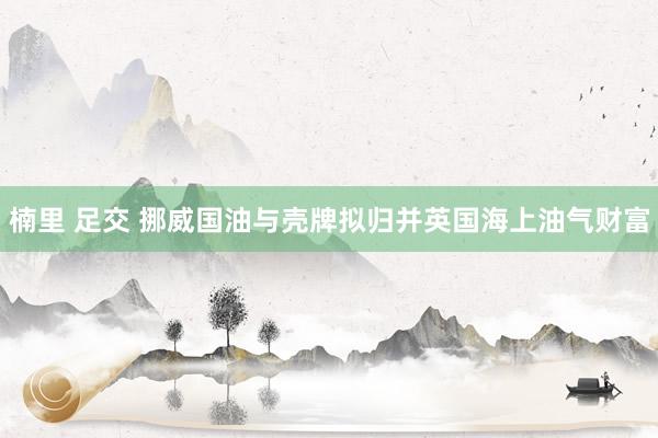 楠里 足交 挪威国油与壳牌拟归并英国海上油气财富