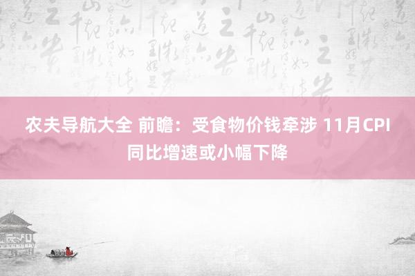 农夫导航大全 前瞻：受食物价钱牵涉 11月CPI同比增速或小幅下降