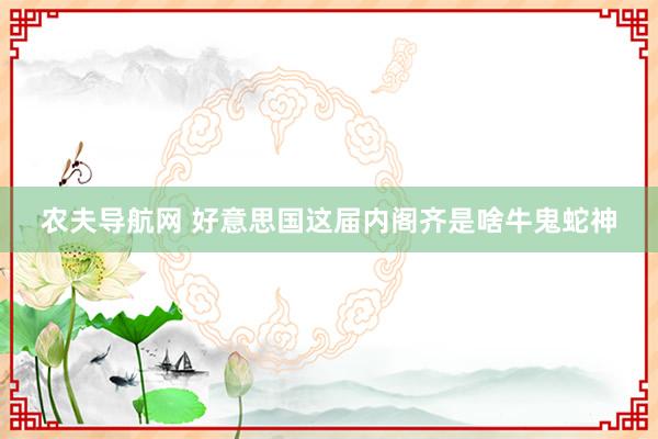 农夫导航网 好意思国这届内阁齐是啥牛鬼蛇神