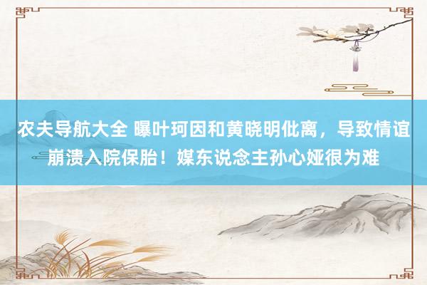 农夫导航大全 曝叶珂因和黄晓明仳离，导致情谊崩溃入院保胎！媒东说念主孙心娅很为难