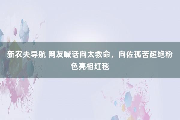 新农夫导航 网友喊话向太救命，向佐孤苦超绝粉色亮相红毯