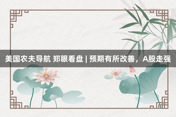 美国农夫导航 郑眼看盘 | 预期有所改善，A股走强
