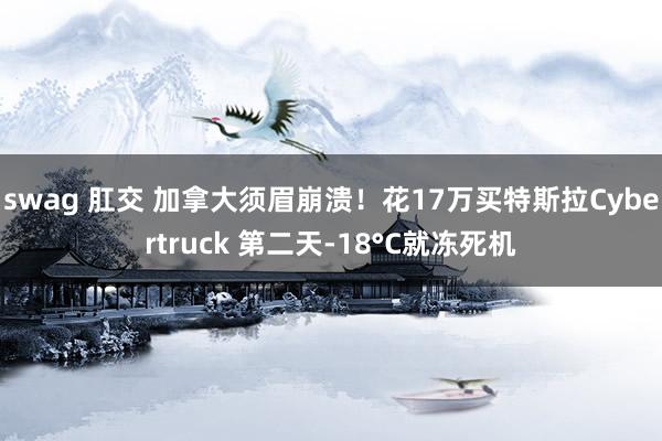 swag 肛交 加拿大须眉崩溃！花17万买特斯拉Cybertruck 第二天-18°C就冻死机