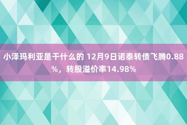 小泽玛利亚是干什么的 12月9日诺泰转债飞腾0.88%，转股溢价率14.98%