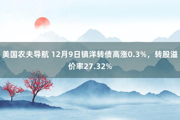 美国农夫导航 12月9日镇洋转债高涨0.3%，转股溢价率27.32%