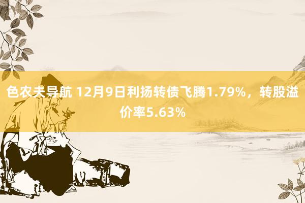 色农夫导航 12月9日利扬转债飞腾1.79%，转股溢价率5.63%