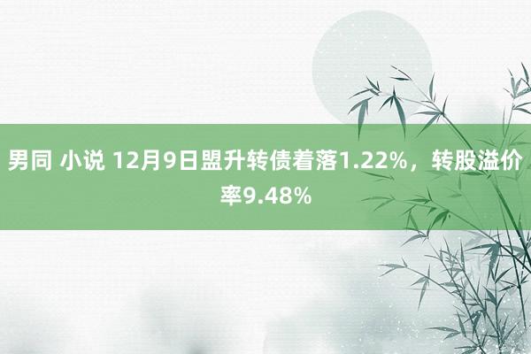 男同 小说 12月9日盟升转债着落1.22%，转股溢价率9.48%
