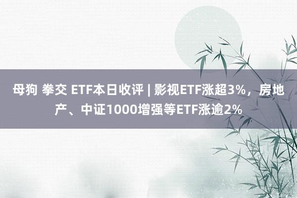 母狗 拳交 ETF本日收评 | 影视ETF涨超3%，房地产、中证1000增强等ETF涨逾2%
