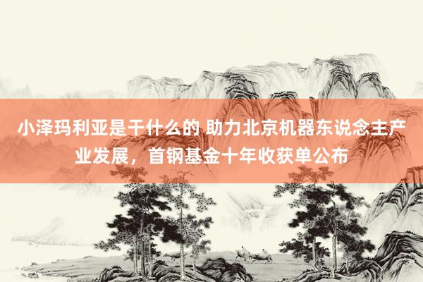小泽玛利亚是干什么的 助力北京机器东说念主产业发展，首钢基金十年收获单公布
