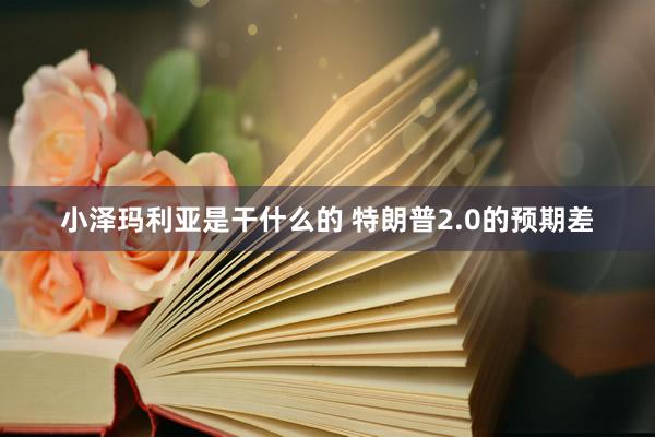小泽玛利亚是干什么的 特朗普2.0的预期差